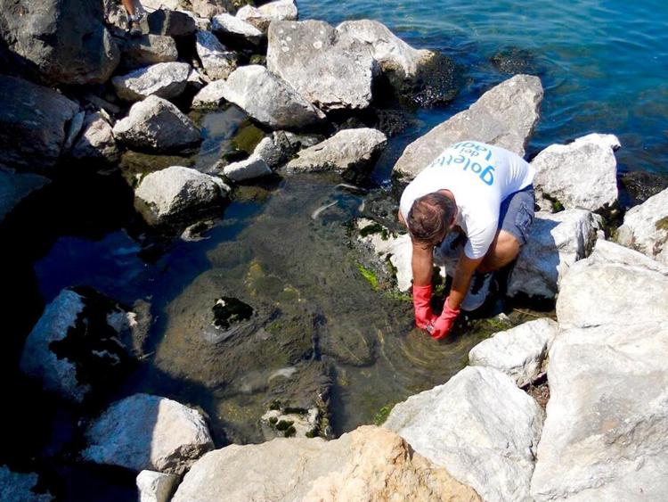 Ambiente: da Legambiente 5 proposte d'intervento per il lago di Garda