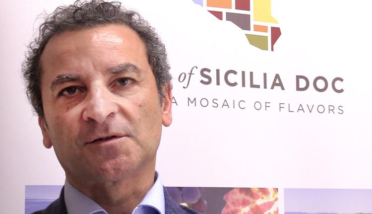 Vino: Doc Sicilia, verso traguardo 30 mln bottiglie, traina exploit Grillo