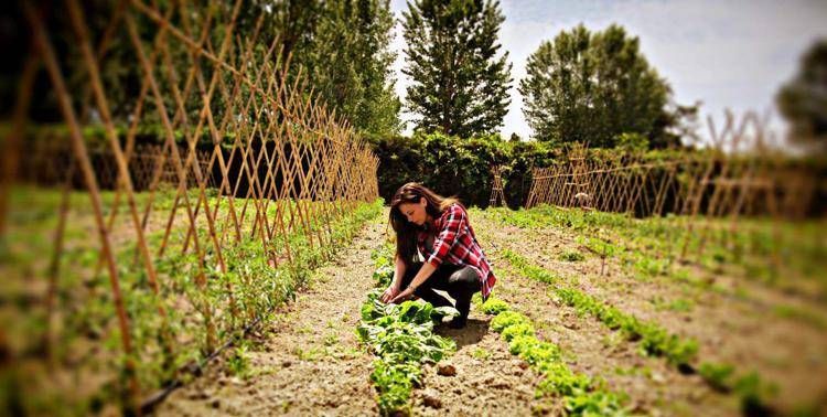 Arianna Vulpiani   negli orti Biofarm   