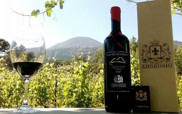 Vino: Coldiretti Campania, ad Ambrosio medaglia d’oro 'Wine guide', eroe vesuviano