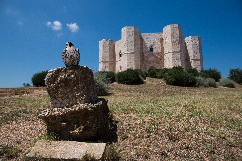 Castel del Monte (CREDIT: A.Cambone, R.Isotti - Homo ambiens/Touring Club Italiano)