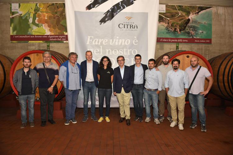 Vino: nasce il Codice citra wine team, coordinato da Riccardo Cotarella