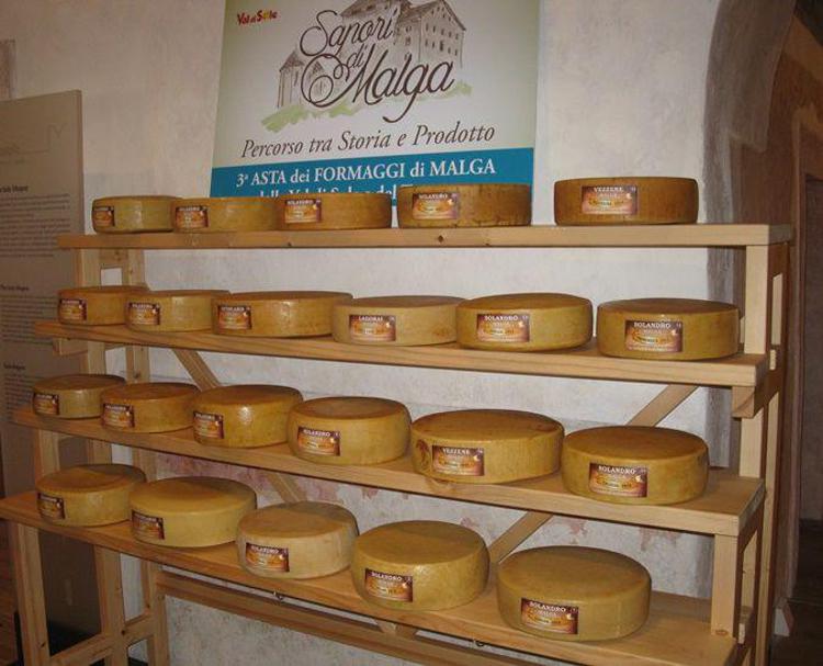Food: in Trentino successo per asta formaggi 'Sapori di malga'