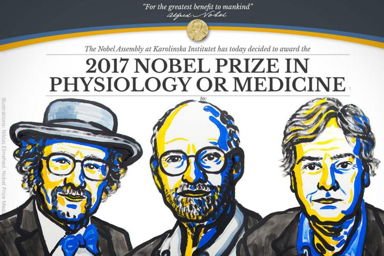 Jeffrey C. Hall, Michael Rosbash e Michael W. Young, vincitori del Nobel per la Medicina 2017