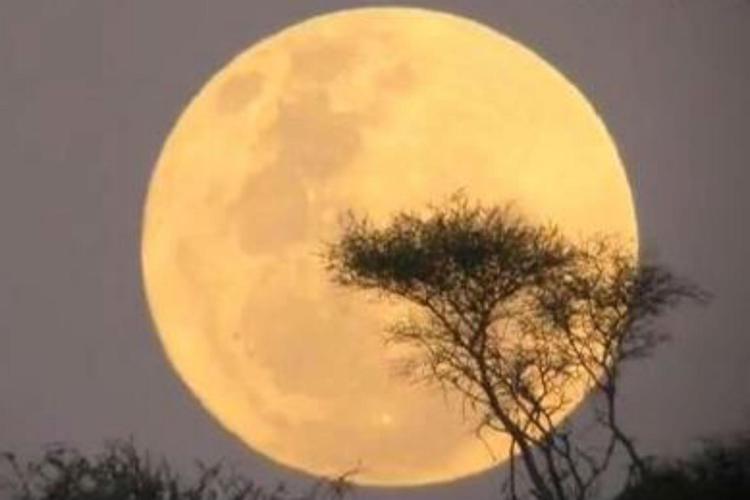 Luna, Israele lancia 'l'effetto Apollo'