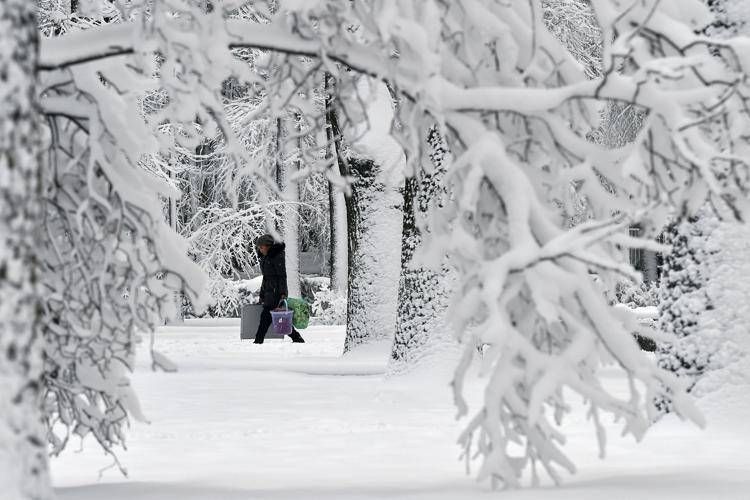 (Foto Afp) - AFP