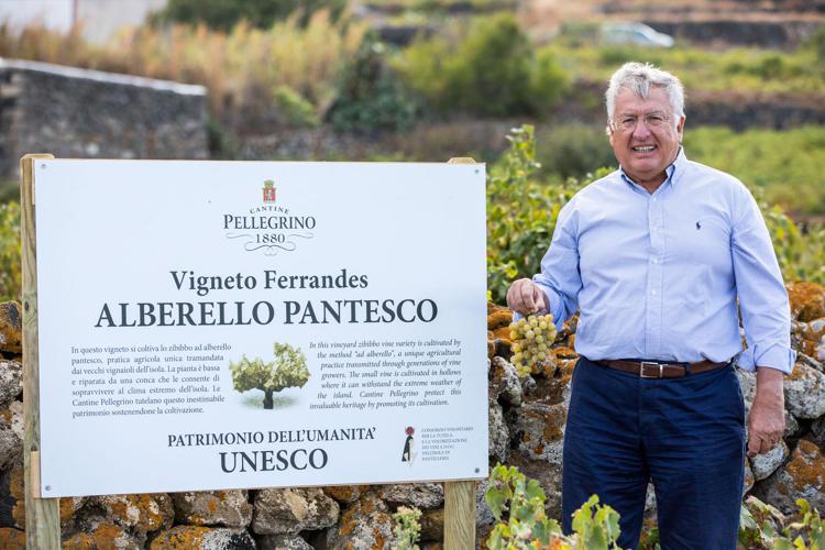 Agricoltura: Consorzio vini Pantelleria, bene nostro Paesaggio in Registro storico