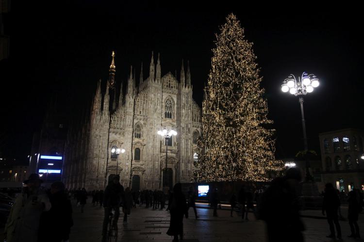 Ambiente: da Spelacchio a Vittorio, la seconda vita degli alberi di Natale