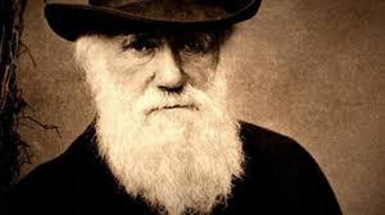 Al padre dell'evoluzionismoè dedicato il Darwin Day il 12 febbraio.
