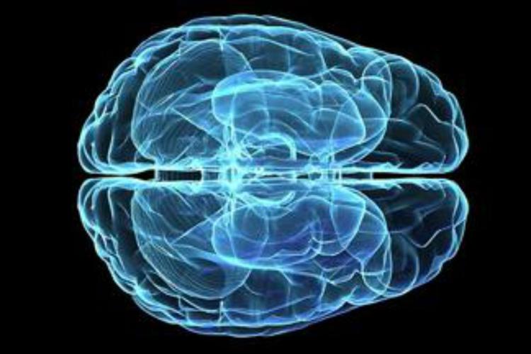 Arriva Virtual Brain per lo studio del cervello