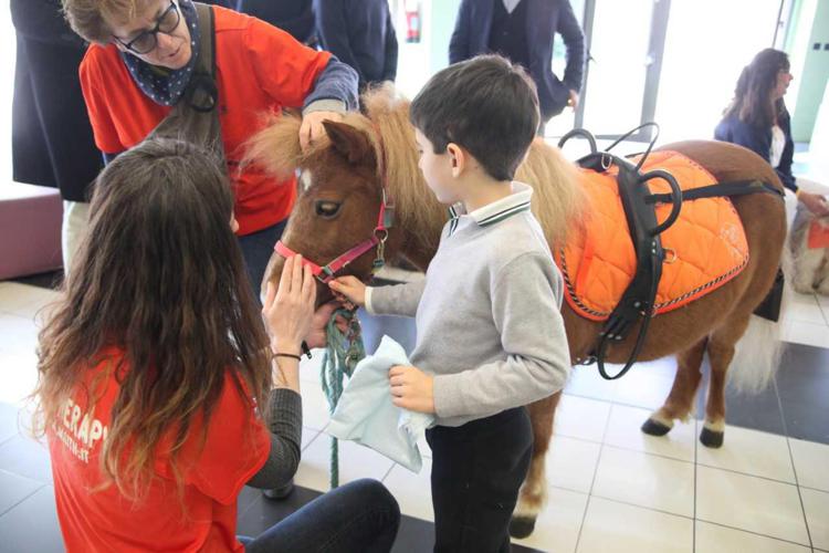 Il pony Trilly all'ospedale Buzzi di Milano (foto Asst Fatebenefratelli-Sacco)