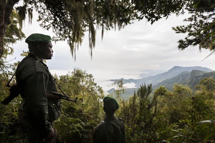 Continua la strage di ranger nel Virunga