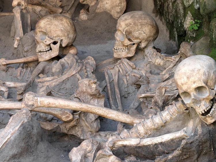 Alcuni degli scheletri trovati  ad Ercolano.