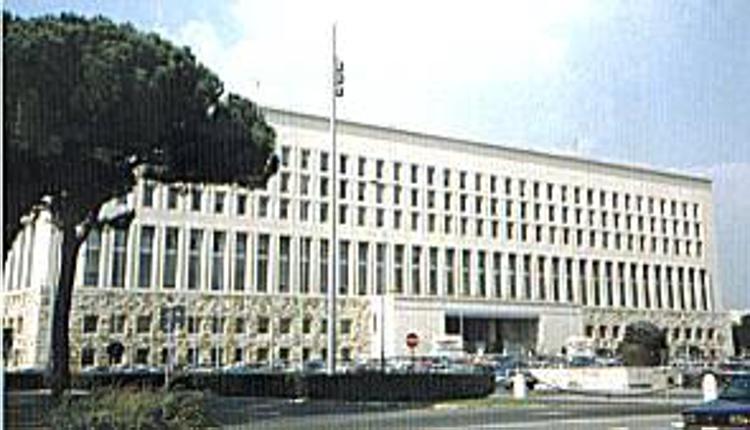 Italy's foreign ministry