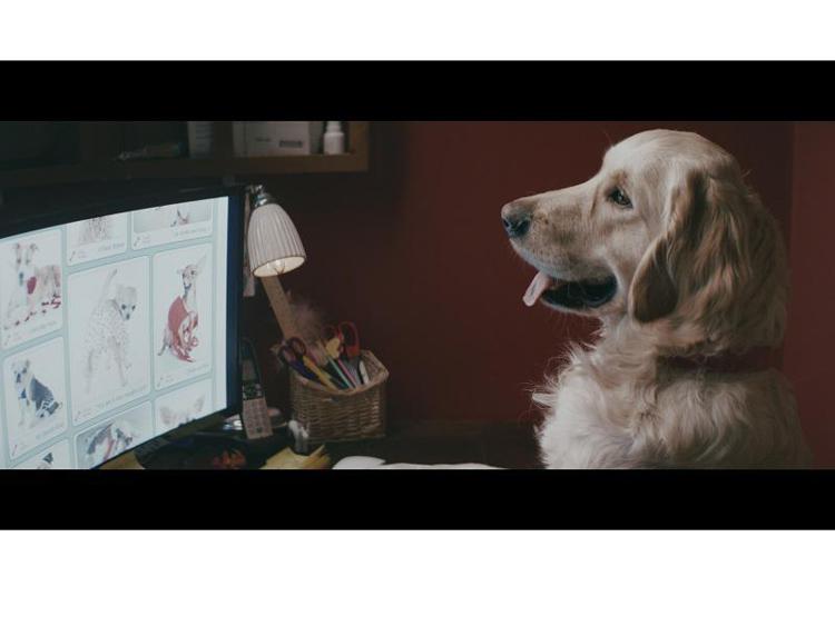 Animali domestici nell'era digitale: i consigli di Kaspersky Lab per tenerli al sicuro