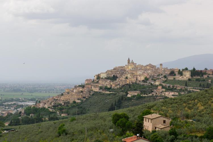 Fascia di ulivi tra Assisi e Spoleto patrimonio Fao