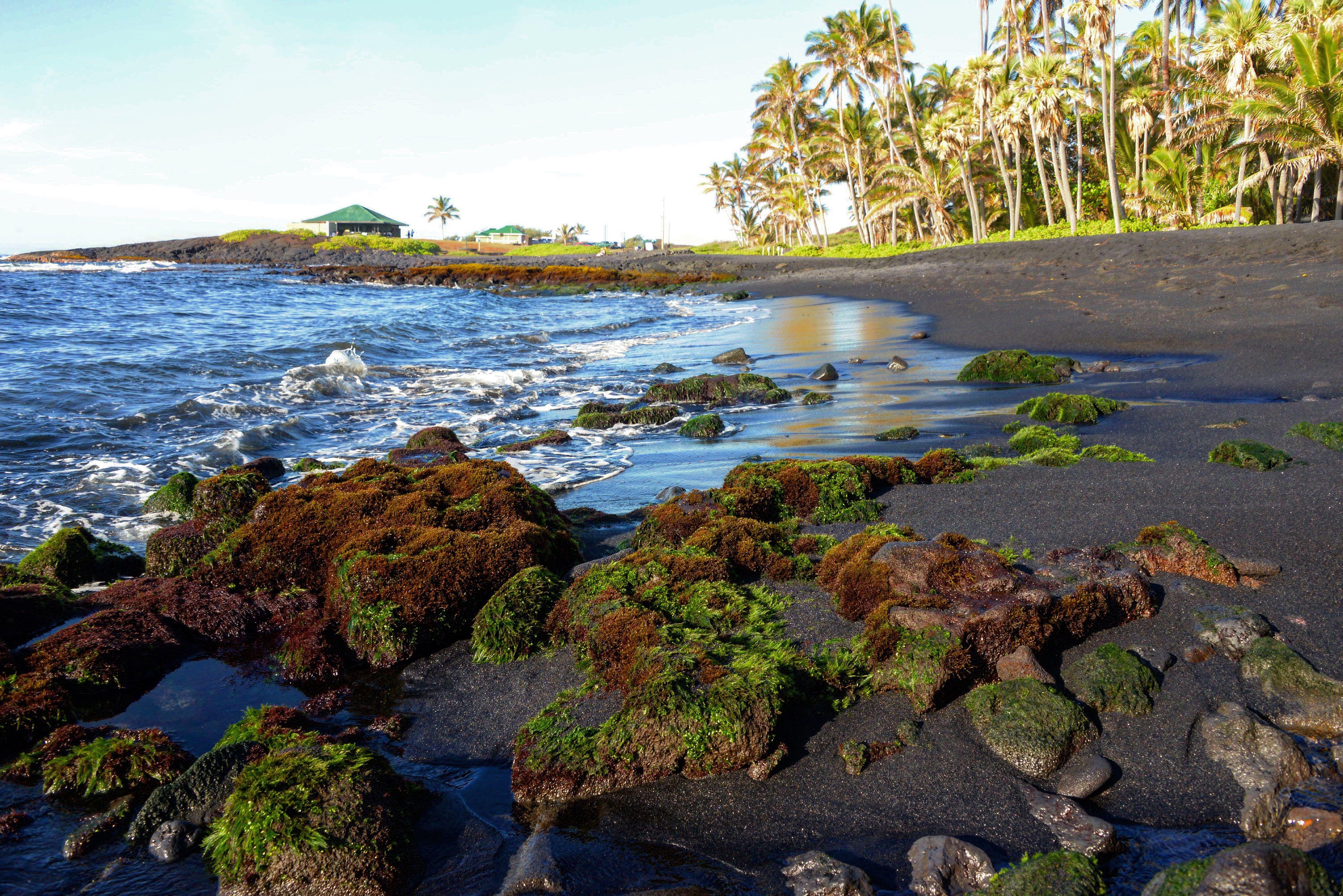 La spiaggia di Punalu’u, alle Hawaii, sulla Big Island, è ricoperta da granuli neri creati dalla lava.