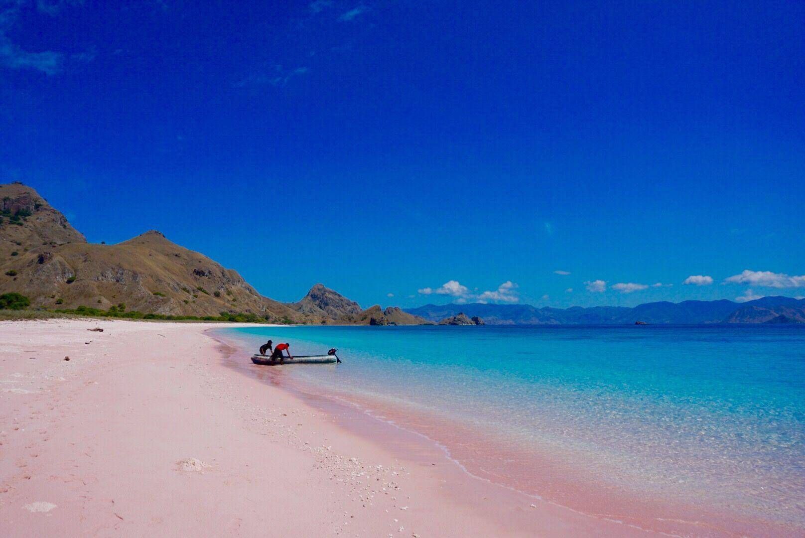isola di komodo spiaggia rosa