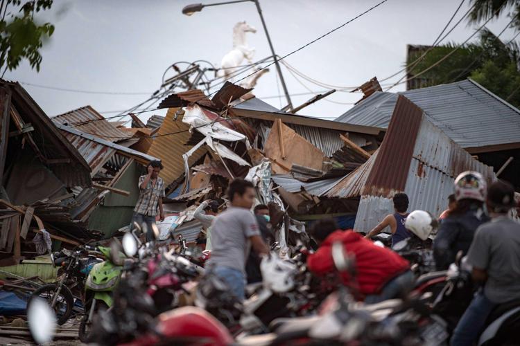 FAO aids Indonesian farmers, fishermen recover after earthquake and tsunami