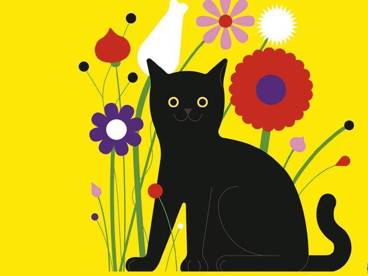 Particolare della copertina del libro 'Storia di Milo, il gatto che non sapeva saltare'