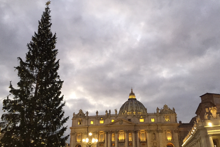 Natale in Vaticano, l'albero arriva dai boschi del Veneto devastati dalla tempesta