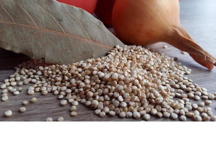 Quinoa: una pianta un tempo dimenticata, oggi alla ribalta