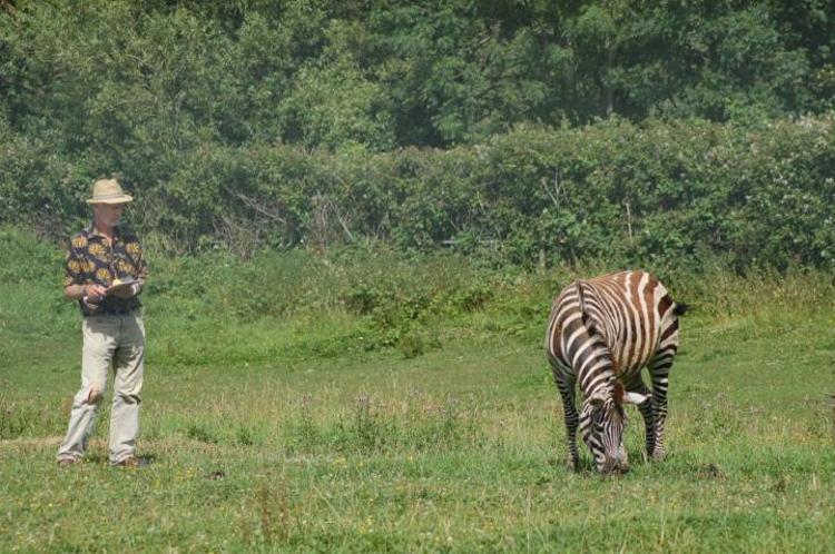 Il ricercatore Tim Caro studia una zebra (foto: School of Biological Sciences, University of Bristol)