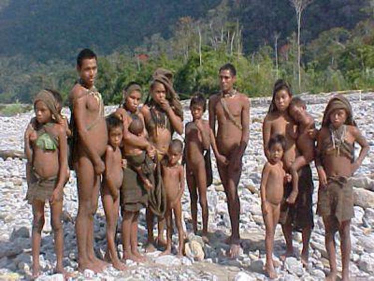 Meeting urges recognition of indigenous people's role in combatting climate change
