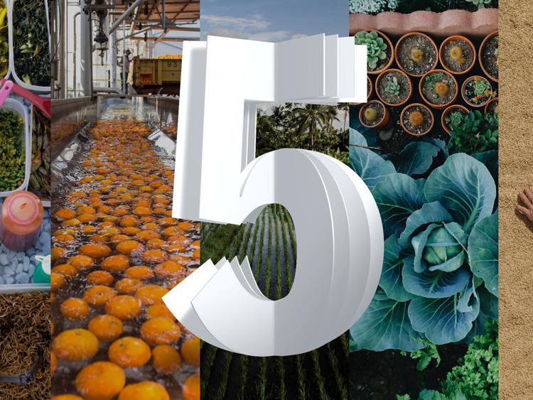 Innovazione: Ibm 5in5, tecnologie per una filiera del cibo più sostenibile