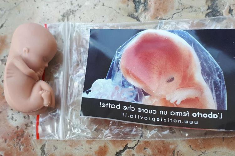 Congresso famiglie, polemica su feto plastica