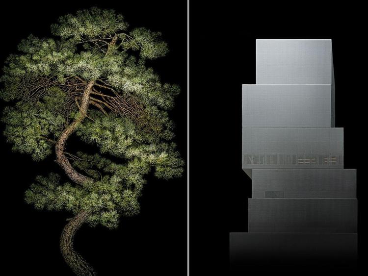 Manchurian Pine e New Museum di Irene Kung (courtesy Galleria Valentina Bonomo) - courtesy di Galleria Valentina Bonomo
