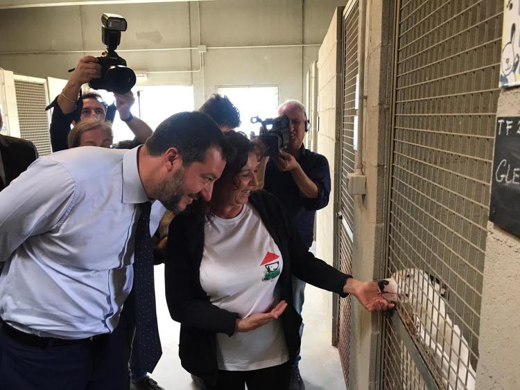 Salvini al canile di Bari (foto Adnkronos)