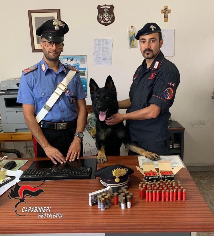 Vibo Valentia: Enno il cane carabiniere col fiuto per le munizioni
