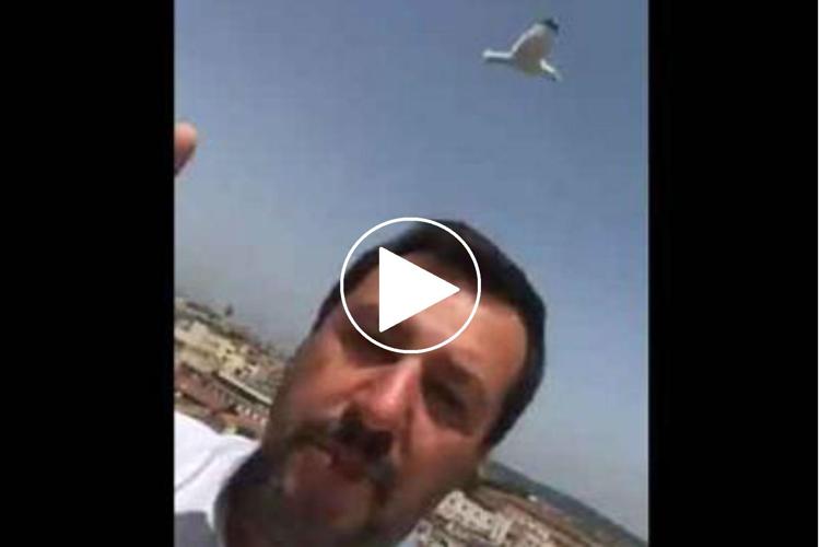  Salvini nel video twittato dai tetti di Roma