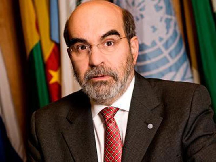 FAO chief urges sustainable food systems for healthy eating