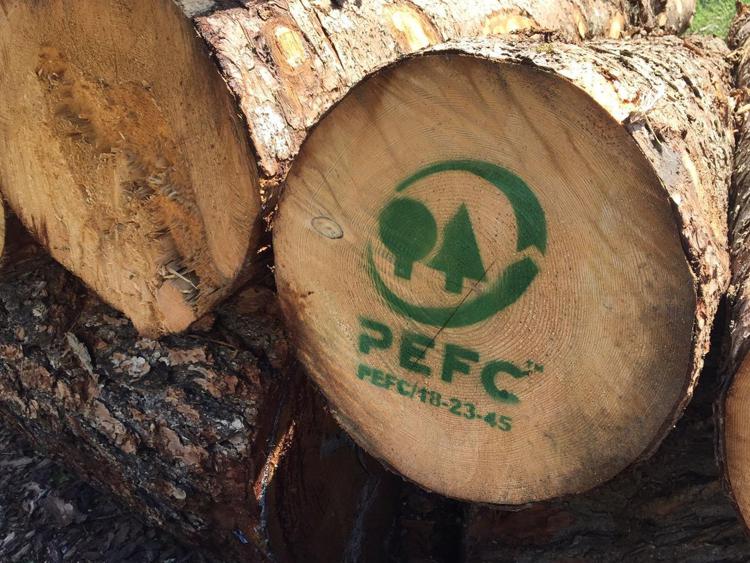 Sostenibilità: Pefc, un anno dopo Vaia 5 mln mq di legname da recuperare