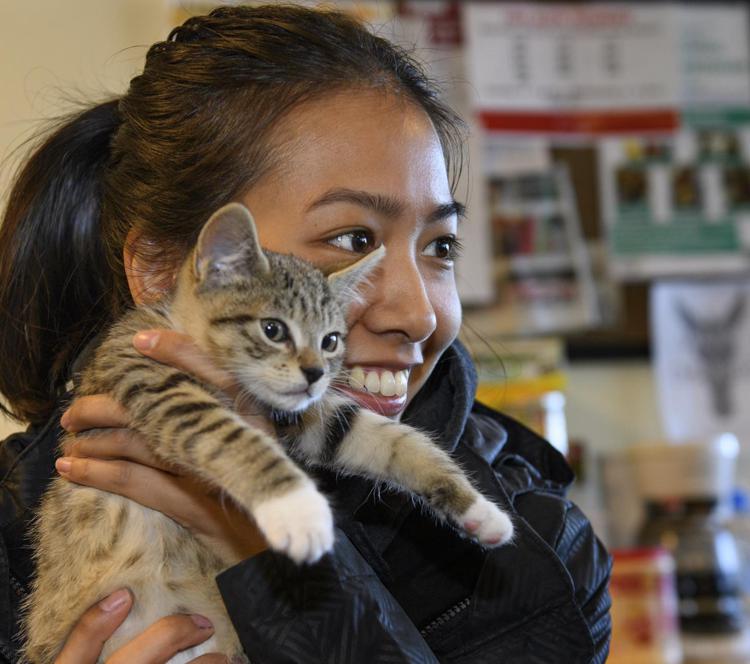 Studentessa WSU coccola un gattino/WSU - WSU