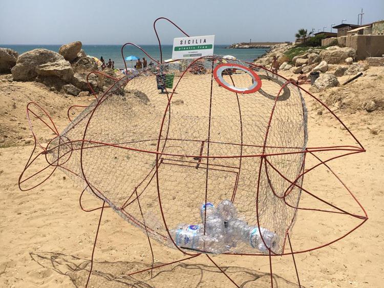 Sulle spiagge della Sicilia arrivano i 'pesci mangiaplastica'