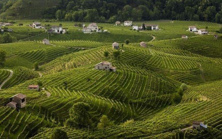 Italy's Prosecco Hills become Unesco World Heritage site