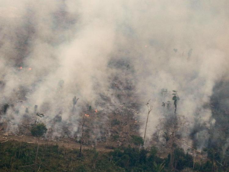 Incendi: nel 2019 in fumo oltre 20 mln ettari foreste