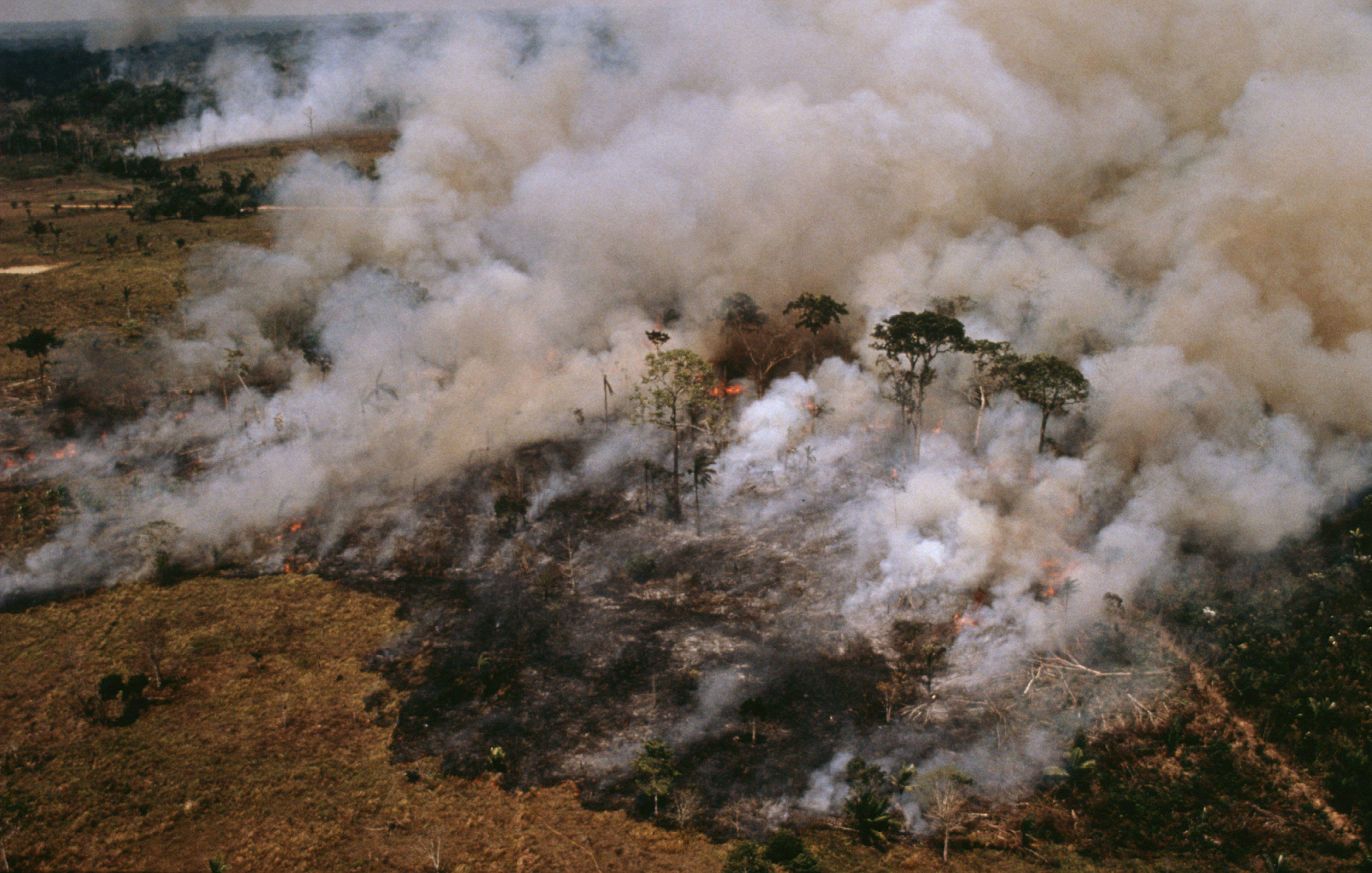 Aerial shot of the Amazon showing forest fire. Acre State, Brazil