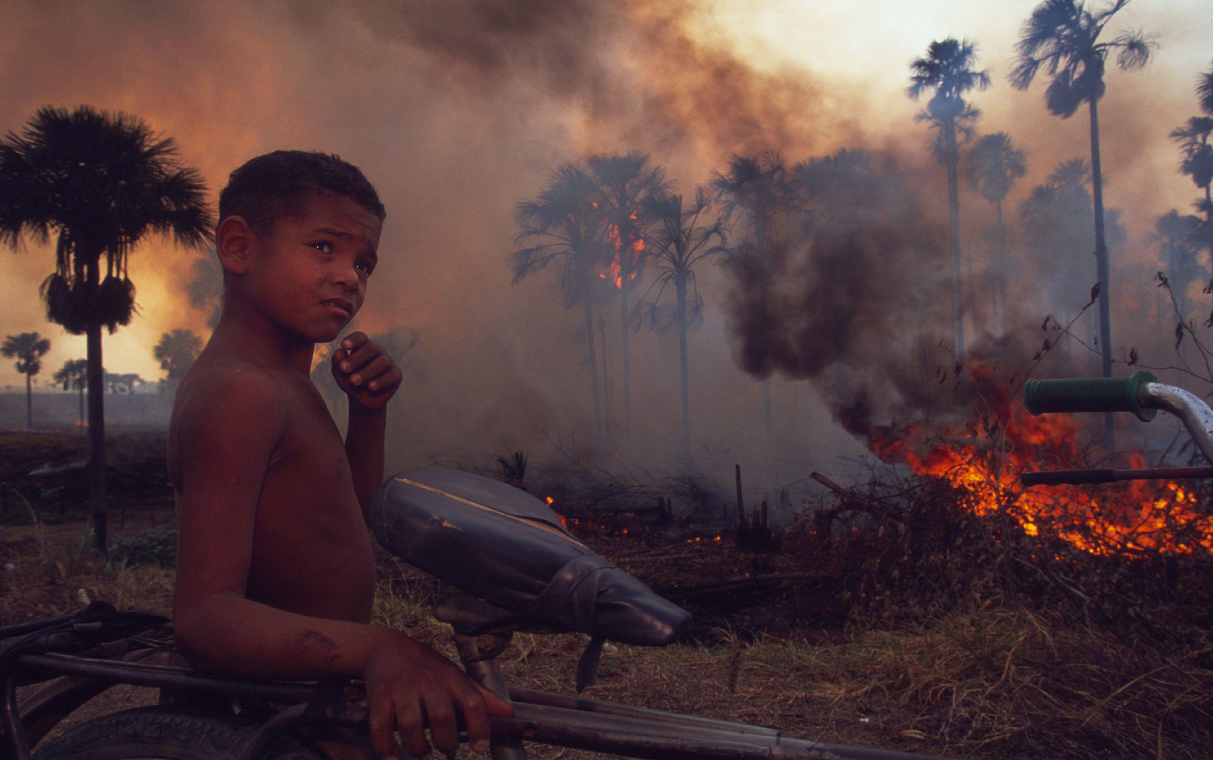 Young boy on the road along burning forest Roraima state Amazon. Brazil