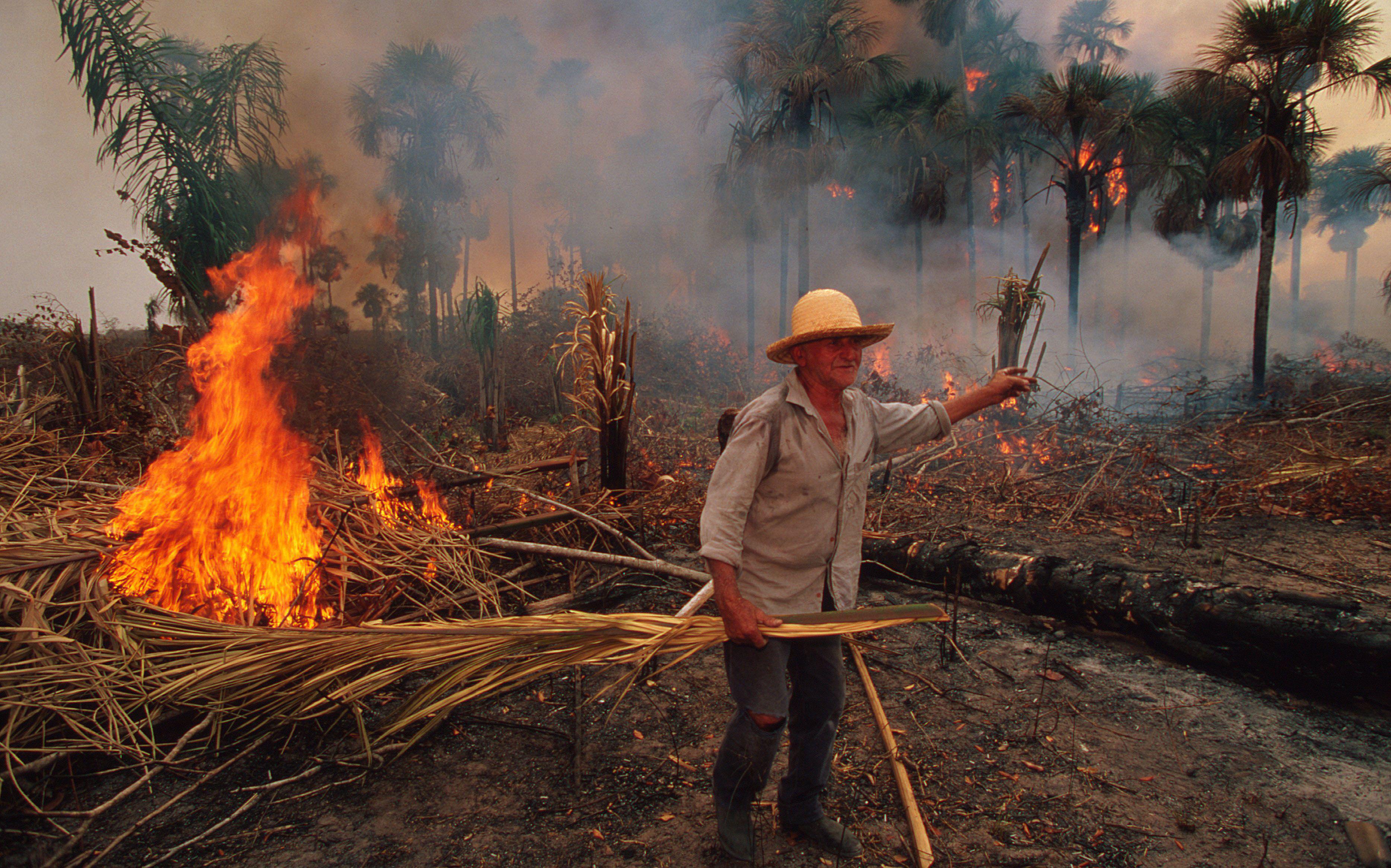 El Nino. Forest Fires. Tropical rainforest. The Amazon, Brazil, Roraima, south of Boa Vista. Peasant farmer sets alight to his plantation at the height of the drought and fears for forest fires. He claimed to know nothing of the predicament, but makes good use of climate conditions. March 1998
