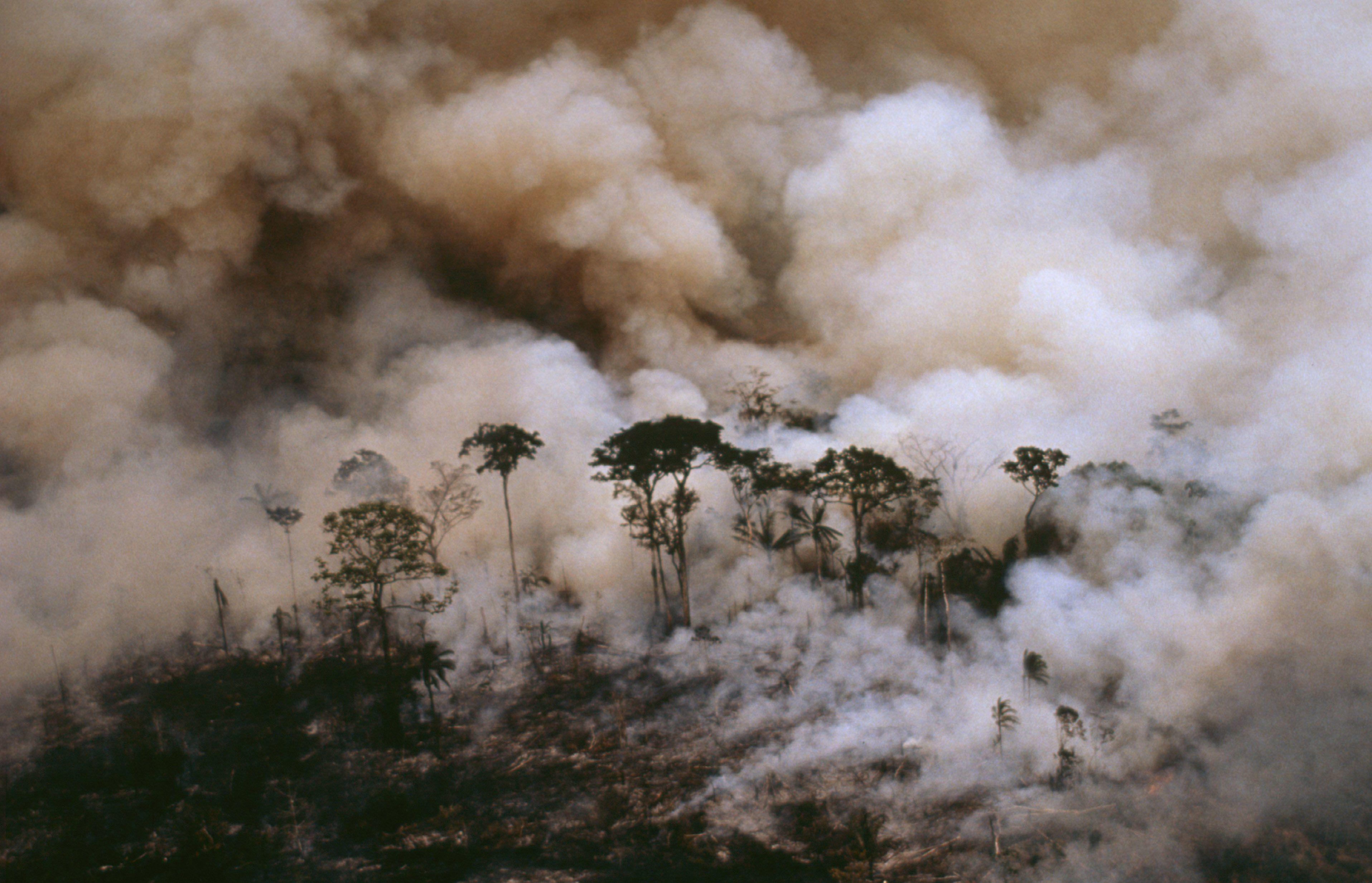 Aerial shot of Acre State showing forest fire. Amazonia, Brazil