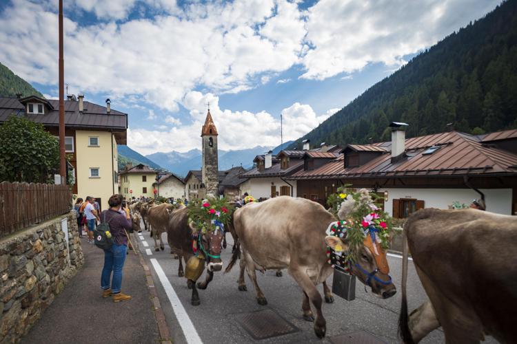 Trentino: Val di Pejo, settimana dedicata agli agricoltori