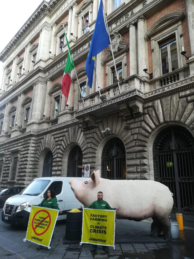 Clima: azione Greenpeace a Roma, 'stop allevamenti intensivi'