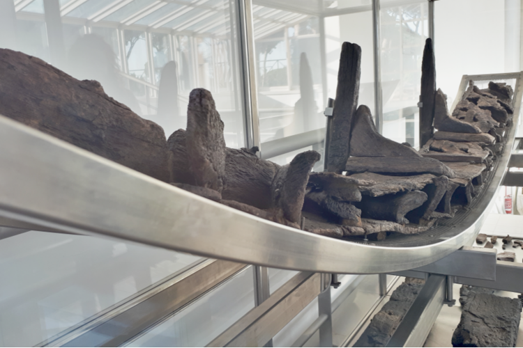 I resti della ruota idraulica rinvenuta a Ostia
