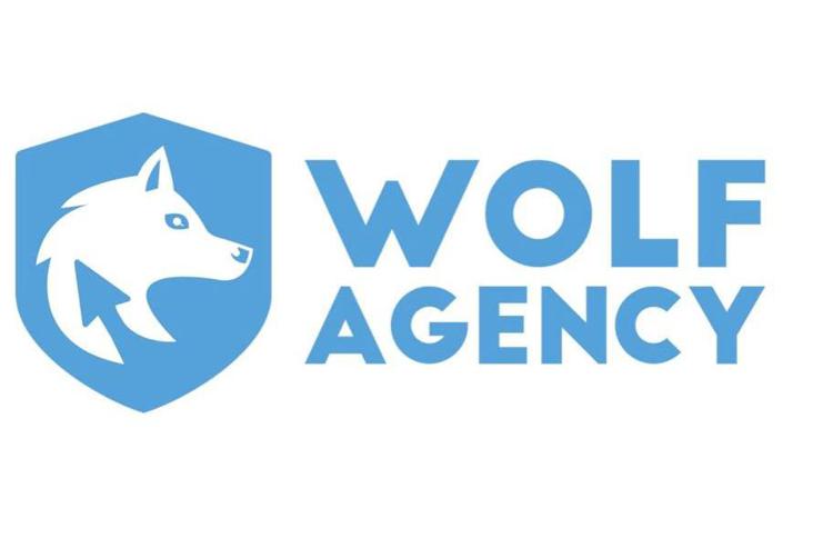 Wolf Agency: l’agenzia digitale per la migliore strategia di marketing e SEO