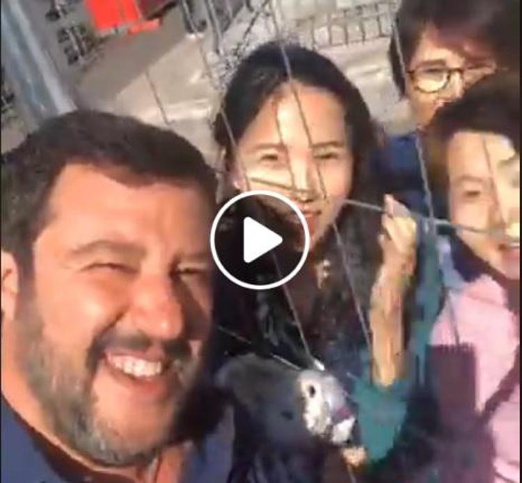 Salvini e le fan coreane: 