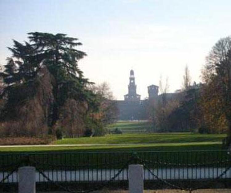 Milano più verde, 20mila alberi in arrivo in città